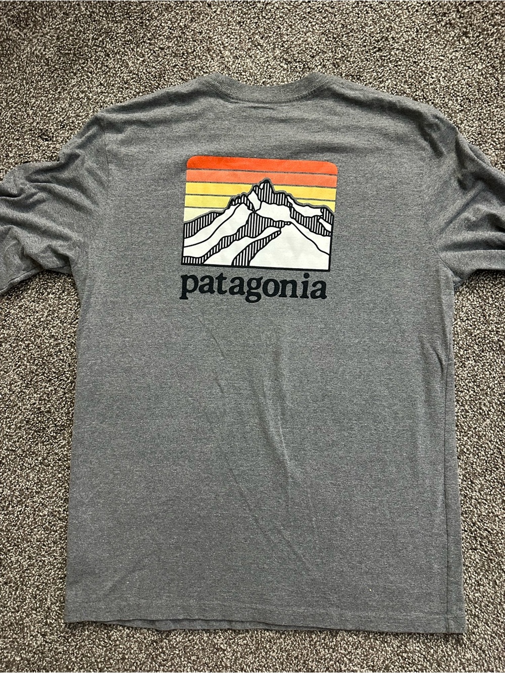 Patagonia Men’s Gray Long-Sleeve Tee with Sunset Mountain Graphic